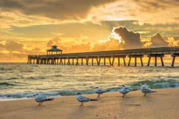 Pier-and-Beach-at-Deerfield-Beach-Florida