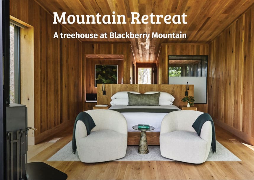 Mountain Retreat: A treehouse at Blackberry Mountain