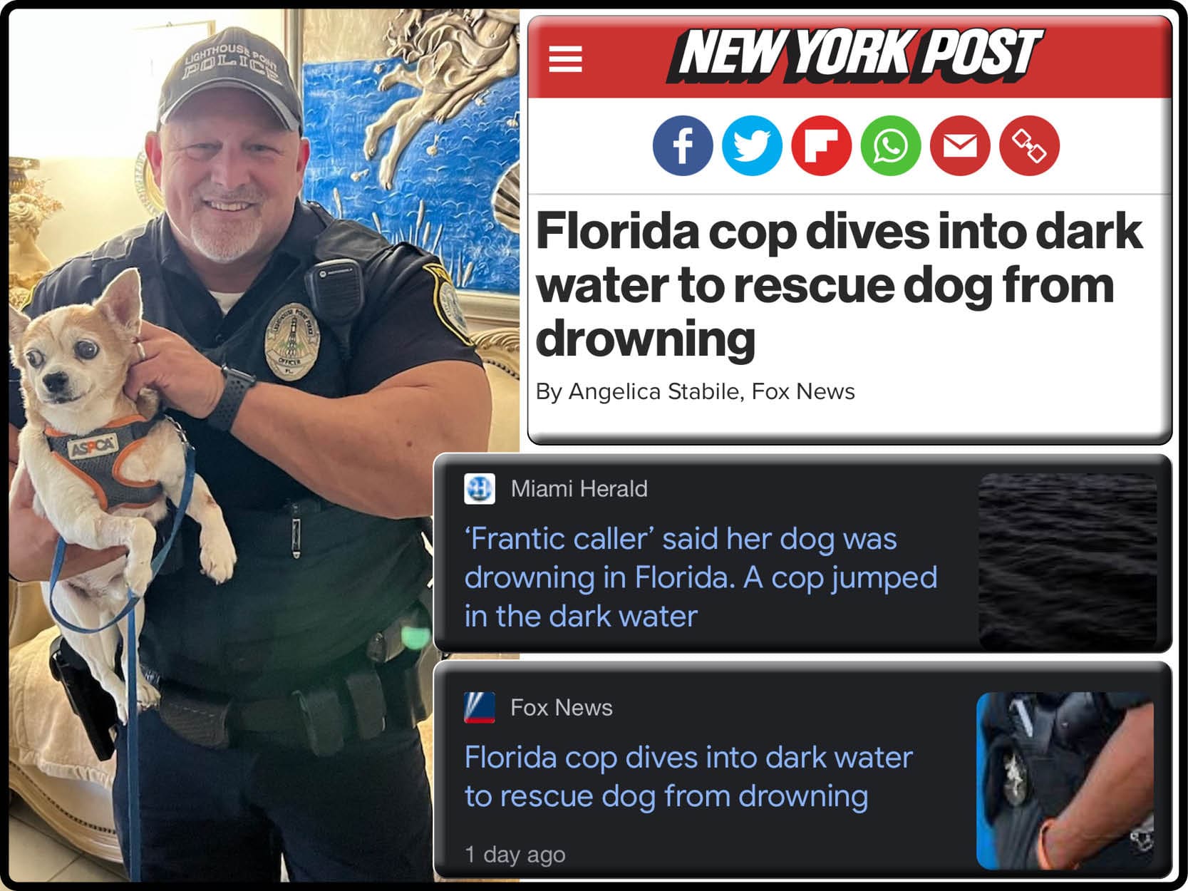Lighthouse Point Cop Saves Dog, Garners National Attention